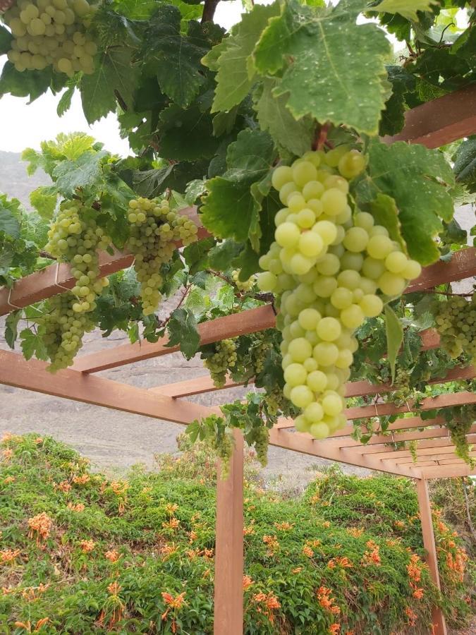 Mi Jardin Villa Frontera Ngoại thất bức ảnh