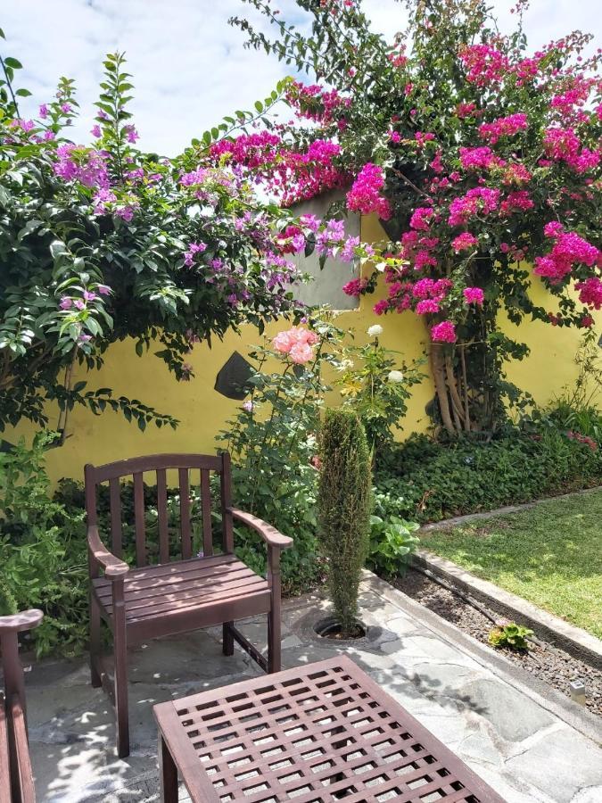 Mi Jardin Villa Frontera Ngoại thất bức ảnh