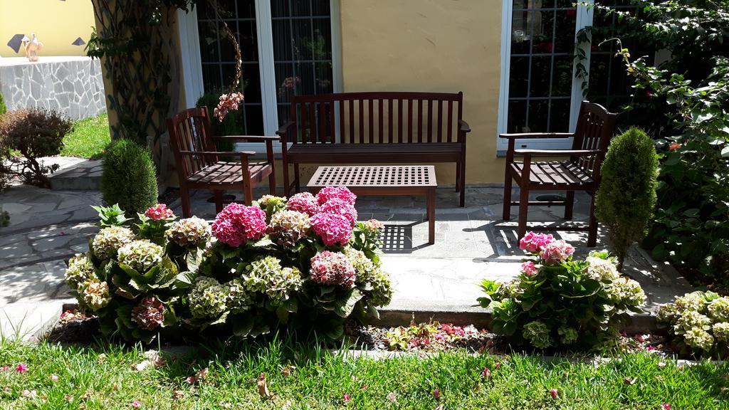Mi Jardin Villa Frontera Ngoại thất bức ảnh