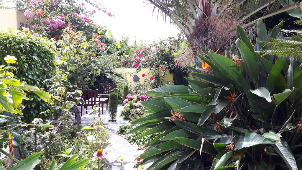 Mi Jardin Villa Frontera Ngoại thất bức ảnh
