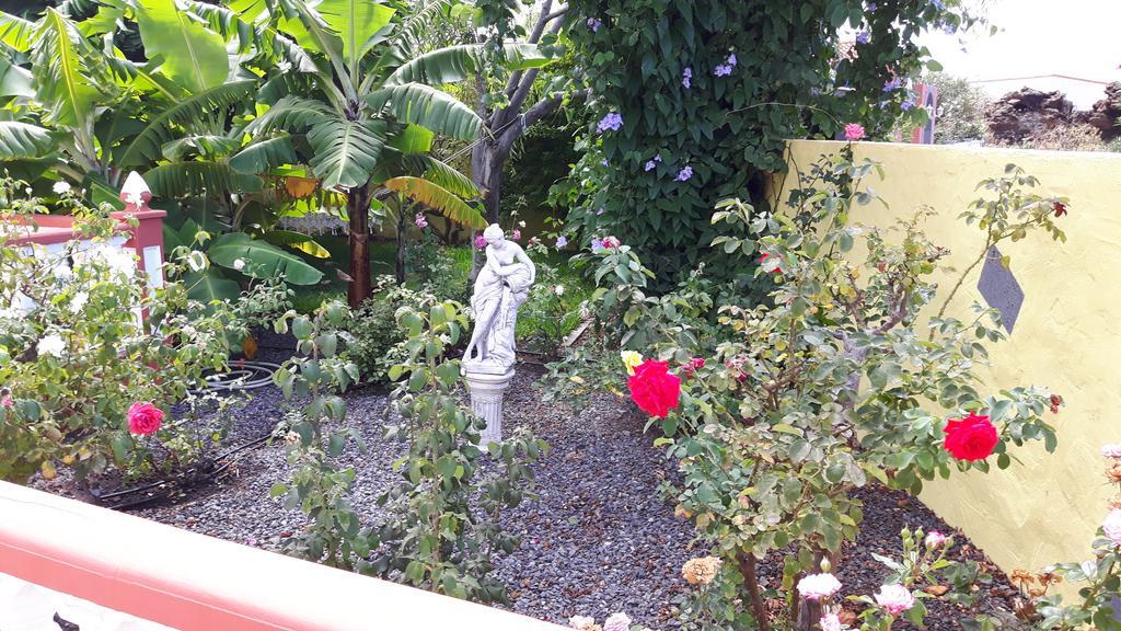 Mi Jardin Villa Frontera Ngoại thất bức ảnh