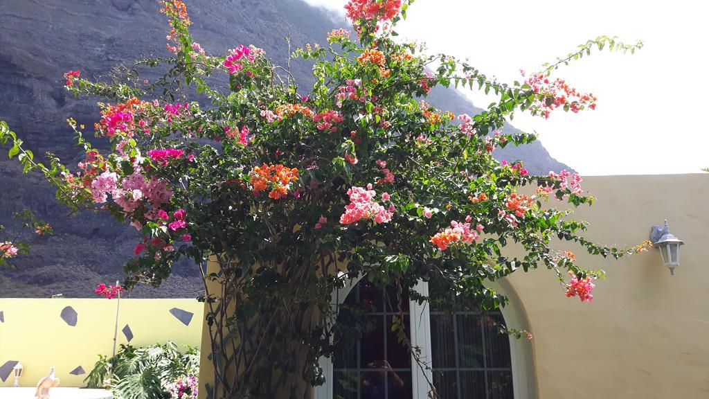 Mi Jardin Villa Frontera Ngoại thất bức ảnh
