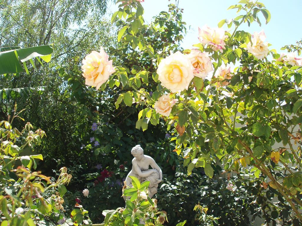 Mi Jardin Villa Frontera Ngoại thất bức ảnh